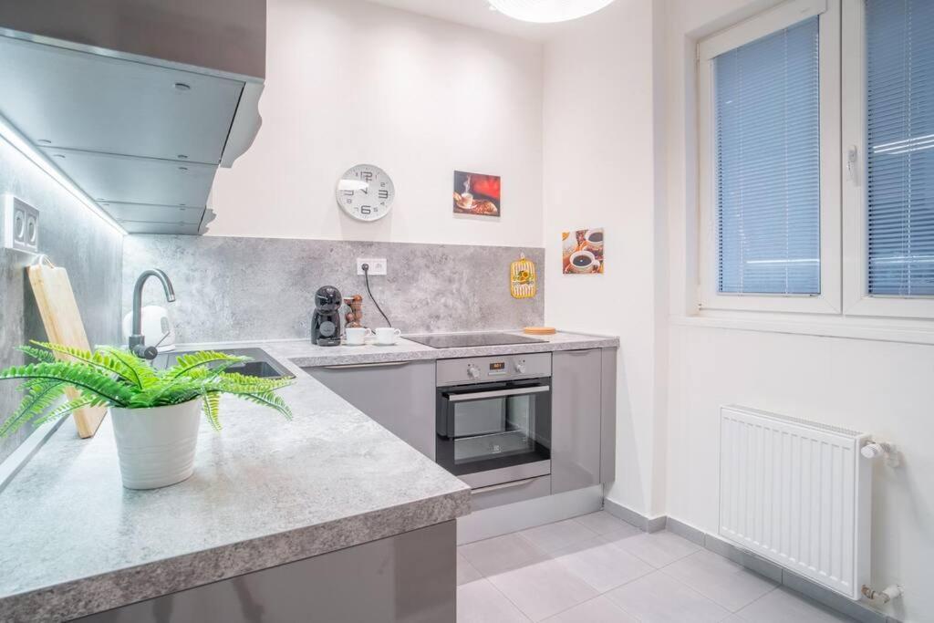 Sukromny Staromestsky Apartman V Uzasnej Lokalite/Cozy Old-Town Apartment In A Great Neighborhood Pozsony Kültér fotó